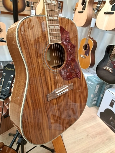 Epiphone Hummingbird Koa Top 2